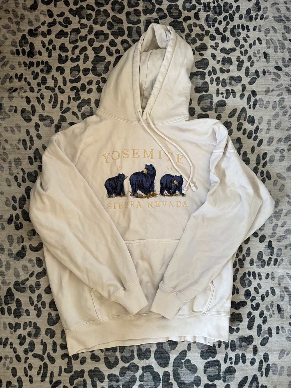 Brandy Melville Yosemite Hoodie